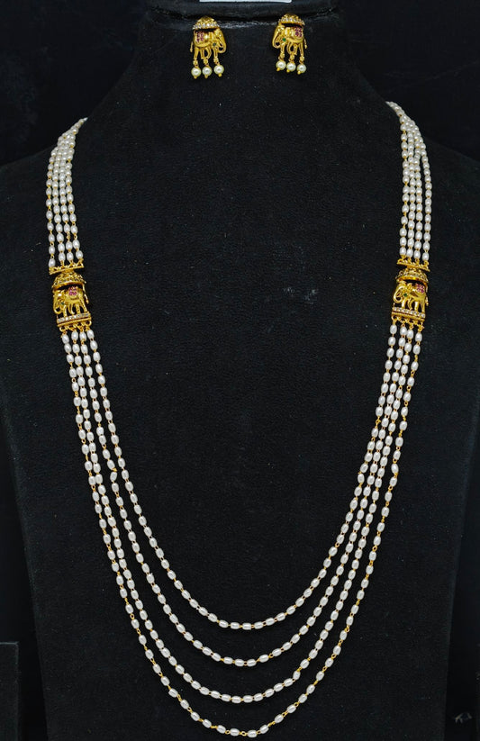 Elephant Chandraharam